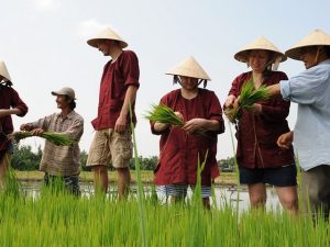 Farming and Fishing Experience