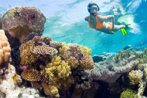 Cham Island and Snorkeling Tour